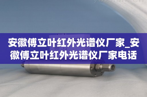 安徽傅立叶红外光谱仪厂家_安徽傅立叶红外光谱仪厂家电话