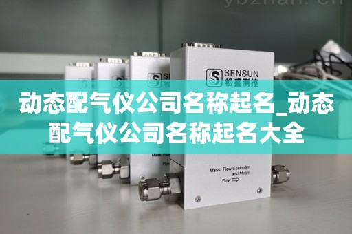 动态配气仪公司名称起名_动态配气仪公司名称起名大全