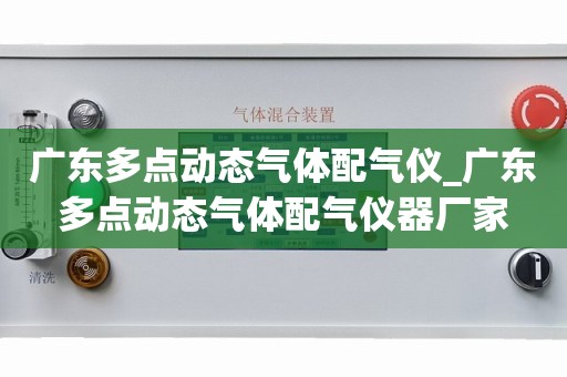 广东多点动态气体配气仪_广东多点动态气体配气仪器厂家