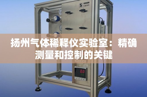 扬州气体稀释仪实验室：精确测量和控制的关键